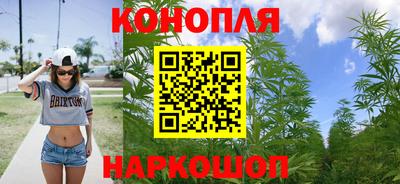 стаф Славгород