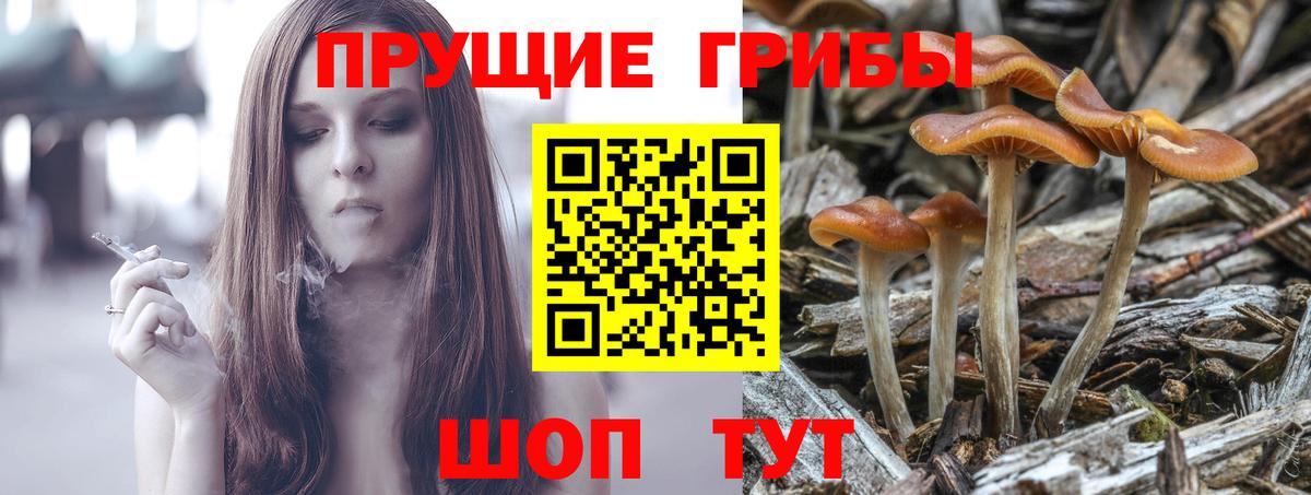 Аксай  Галлюциногенные грибы мухоморы  Псилоцибиновые грибы прущие грибы  Вход с VPN 